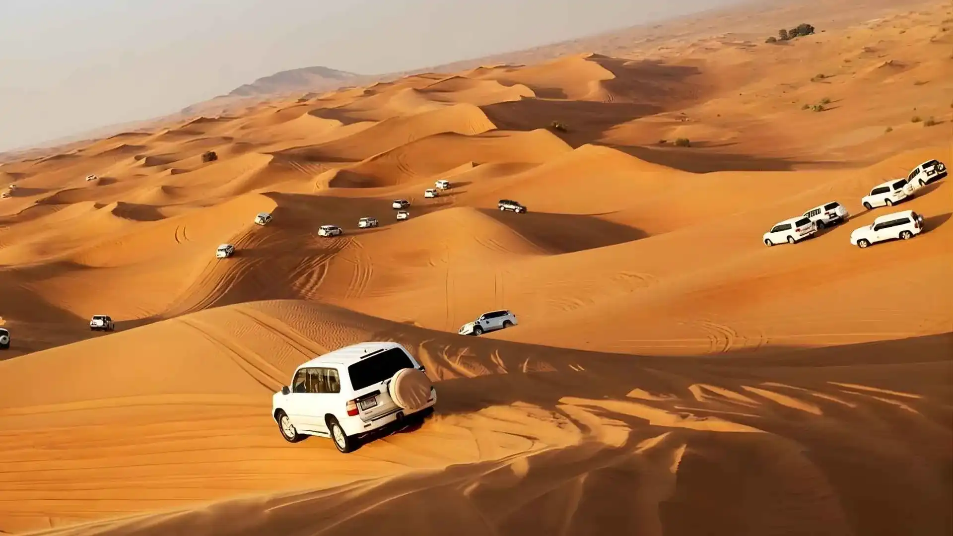 Aerial view of multiple white 4x4 vehicles dune bashing across the rolling desert dunes of Dubai